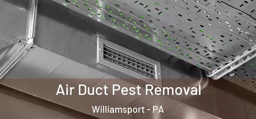  Air Duct Pest Removal Williamsport - PA