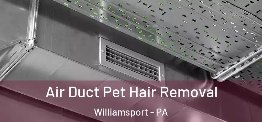 Air Duct Pet Hair Removal Williamsport - PA
