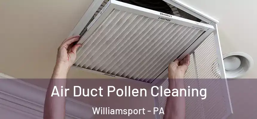 Air Duct Pollen Cleaning Williamsport - PA