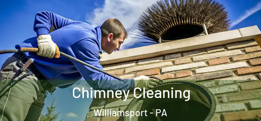  Chimney Cleaning Williamsport - PA