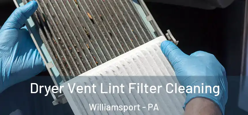 Dryer Vent Lint Filter Cleaning Williamsport - PA