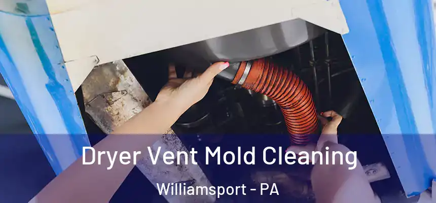  Dryer Vent Mold Cleaning Williamsport - PA