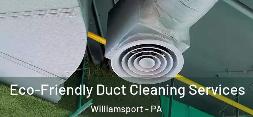  Eco-Friendly Duct Cleaning Services Williamsport - PA