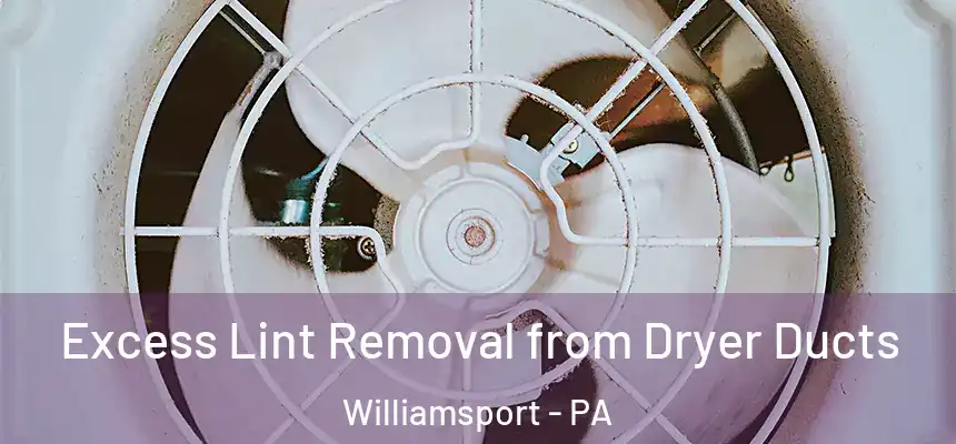  Excess Lint Removal from Dryer Ducts Williamsport - PA