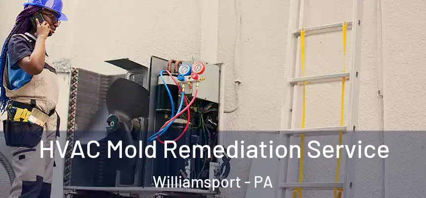  HVAC Mold Remediation Service Williamsport - PA