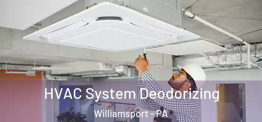  HVAC System Deodorizing Williamsport - PA