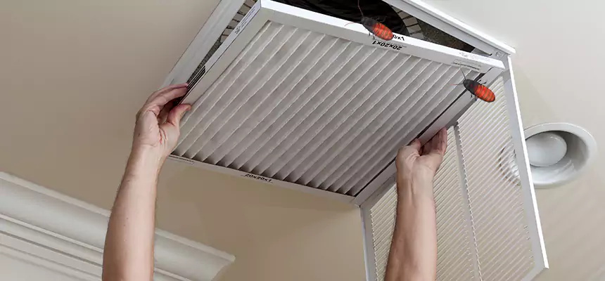 Preventive Cockroach-Proofing for Ducts in Williamsport