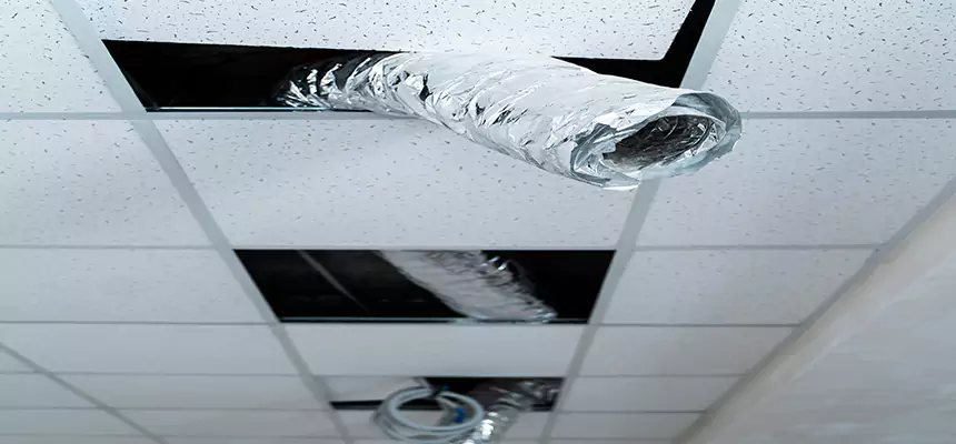 Affordable HVAC Sanitizing After Pest Removal in Williamsport