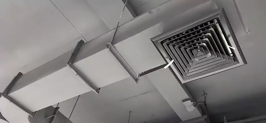 Restorative Allergy Relief Vent Cleaning – Coil, Blower & Housing Detail in Williamsport