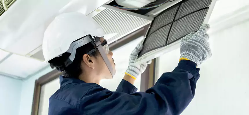 Our Mold & Mildew Removal from Air Ducts Services in Williamsport, PA