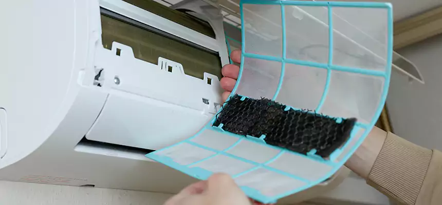 Gentle Ductwork Odor-Control Pet Dander Duct Cleaning in Williamsport, PA