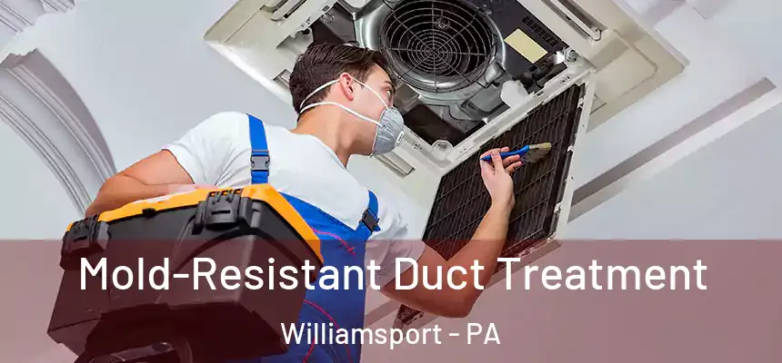  Mold-Resistant Duct Treatment Williamsport - PA