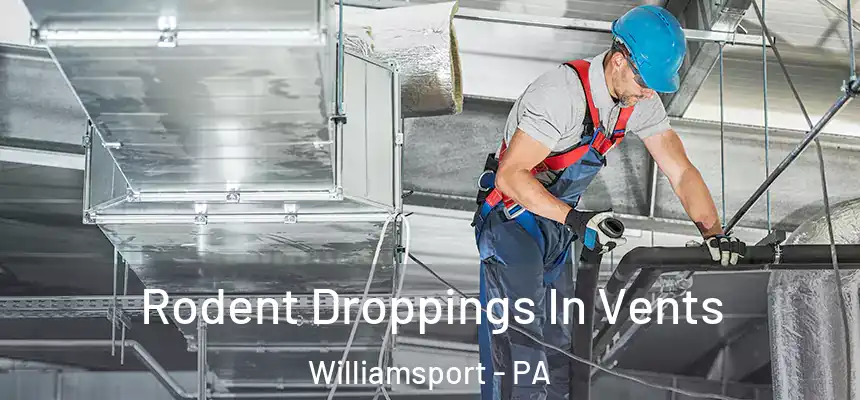  Rodent Droppings In Vents Williamsport - PA
