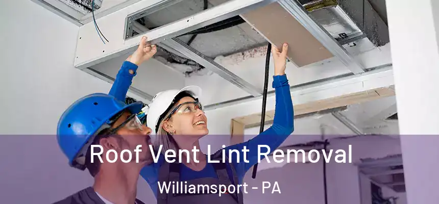  Roof Vent Lint Removal Williamsport - PA