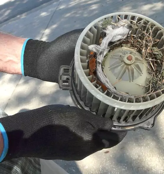 About Air Duct Rat Removal in Williamsport, PA