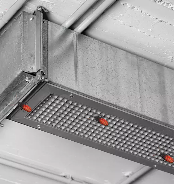 Affordable Insect Removal from Air Ducts in Williamsport, PA