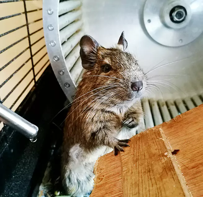 Why Homeowners & Businesses Trust Us Williamsport, PA