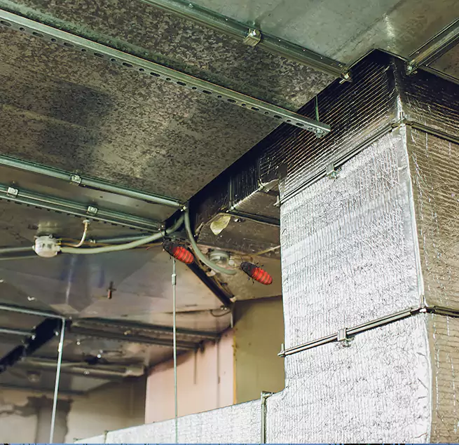 Why Homeowners & Businesses Trust Us Williamsport, PA?