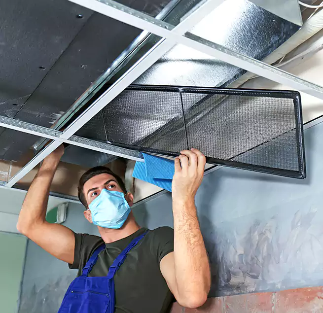 Why Homeowners Businesses Trust Us in Williamsport, PA